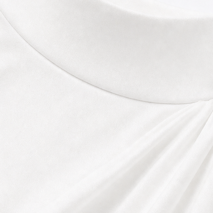 Mesh Sleeve Mock Neck Midi Dress